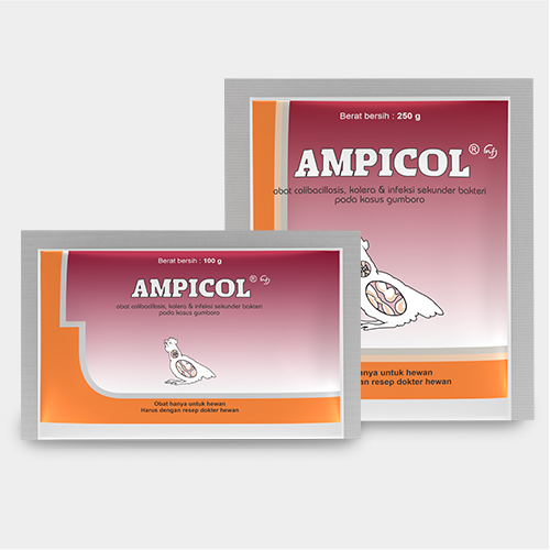 Ampicol NF